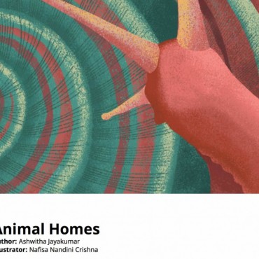 Animal Homes