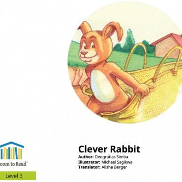 Clever rabbit 