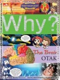 WHY ?  Otak = The Brain